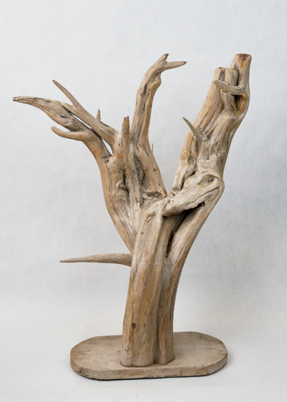 Mounted Driftwood
